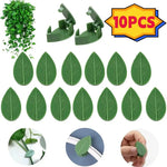clips vigne feuilles vert clips mur escalade support plantes multifonctionnel cintres fleurs
