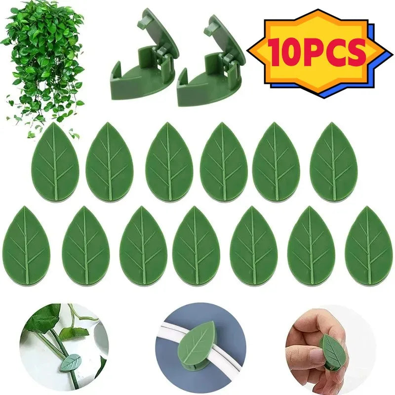 clips vigne feuilles vert clips mur escalade support plantes multifonctionnel cintres fleurs