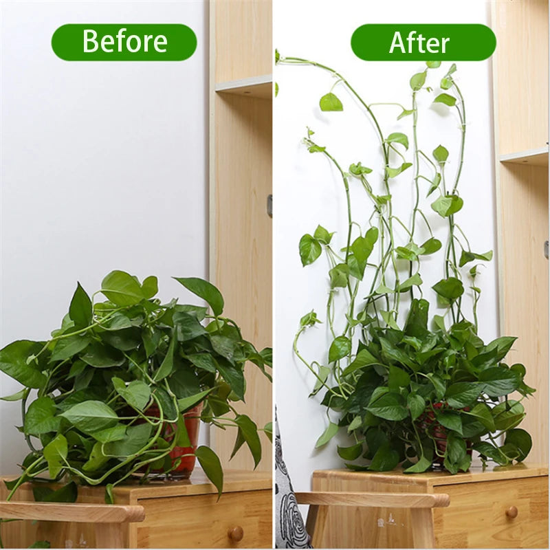 support mural plantes grimpantes clips autoadhésifs vert clair moderne minimalisteintérieur extérieur facile montage détachement