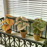 plantes artificielles vertes feuilles ovales pot terre cuite décoration maison réaliste petits espacesintérieur
