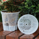 pots fleurs noirs blancs modernes couvercles perforés tailles diverses hydroponie jardinage
