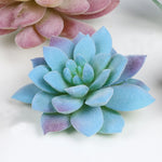 plantes succulentes artificielles décoratives modernes feuilles colorées intérieur extérieur exposé bricolage accessoire jardin réaliste