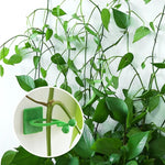 clips vigne feuilles vert clips mur escalade support plantes multifonctionnel cintres fleurs