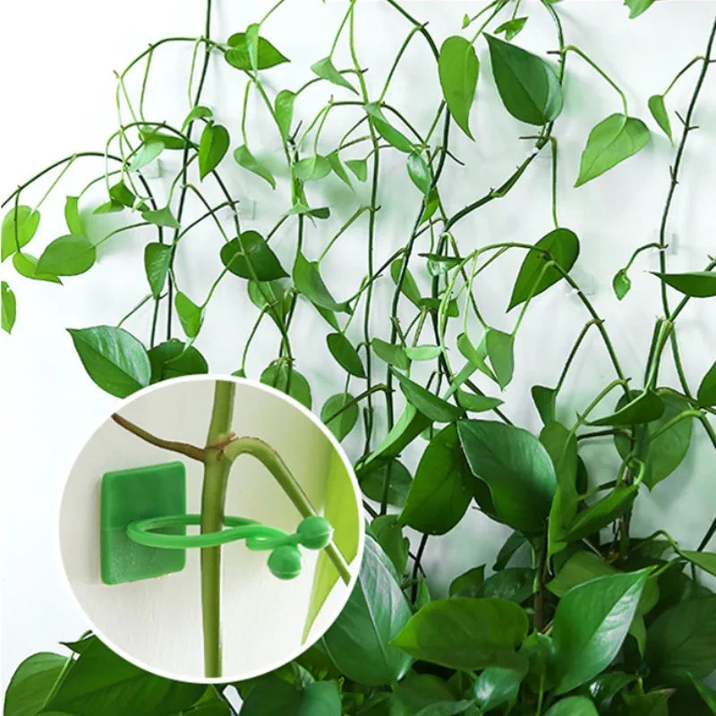 clips vigne feuilles vert clips mur escalade support plantes multifonctionnel cintres fleurs