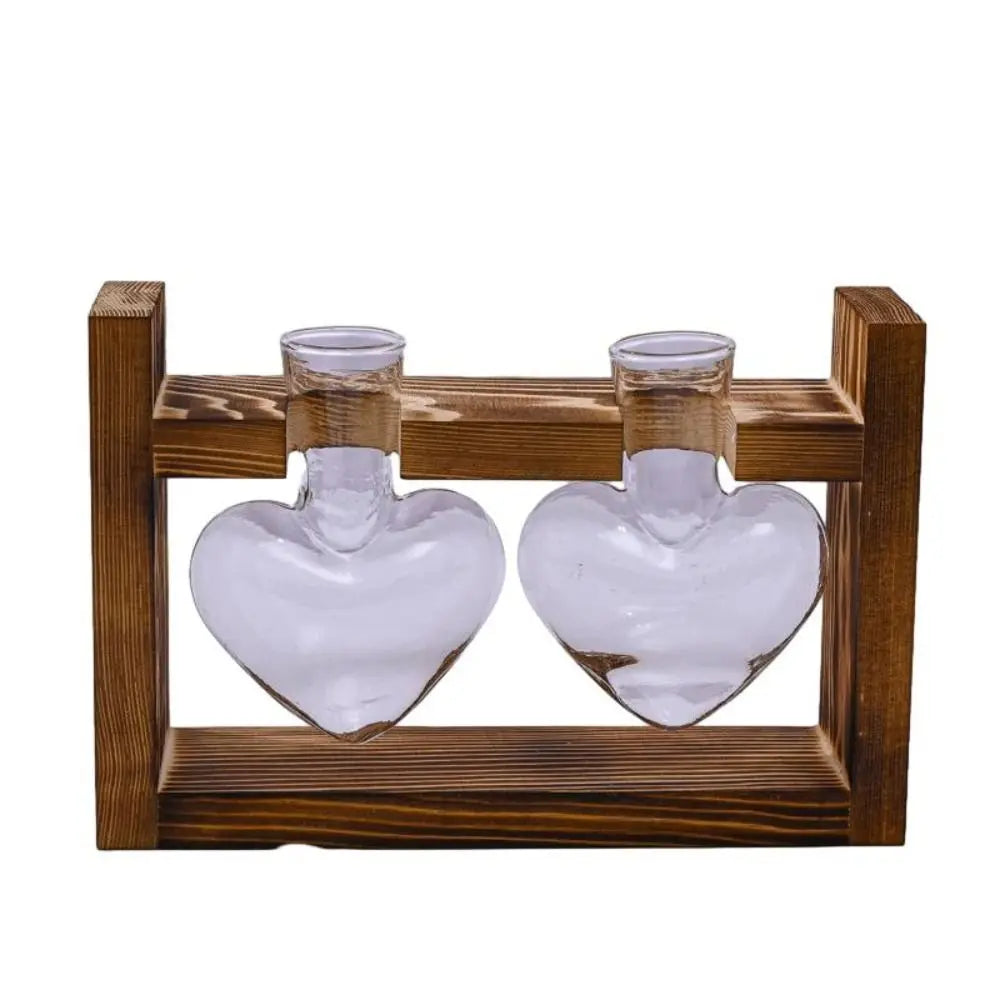 vases transparents modernes verre rond geometrique decoration plante verte