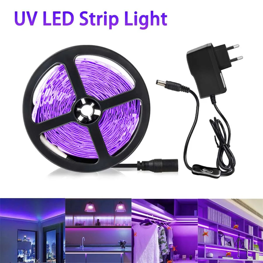 ruban led uv violet moderne 5m 12v 385 400nm adaptateur secteur lumière noire