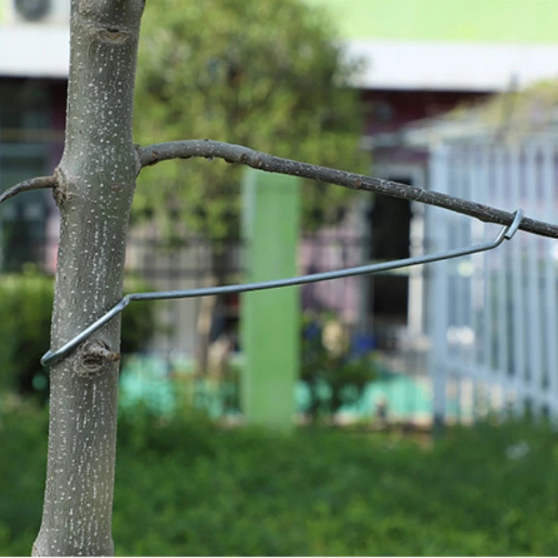 crochets métalliques argentés fruit tree orchard simple adhésifs lisses 10pcs 12 16 18 26