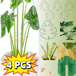 Supports tiges plantes or spirale moderne adhésifs set pièces métal réglables jardin