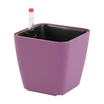 pots plante auto arrosage hydroponique blanc violet noir gris moderne