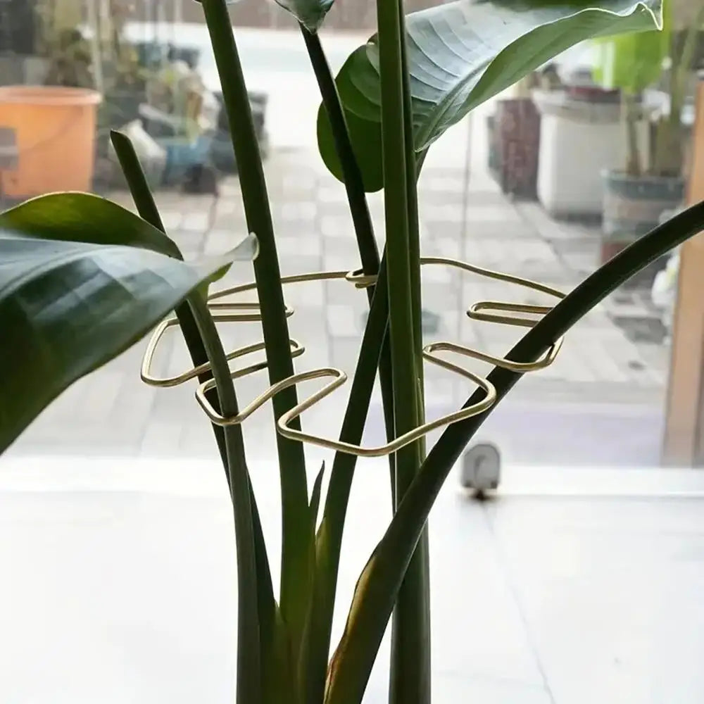 Support plante suspendu or moderne clips feuille monstera vert noir