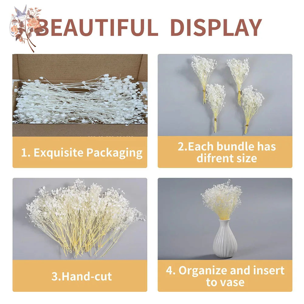 fleurs séchées blanches mini bouquet 50 pièces décoration naturelle artisanale maison mariage