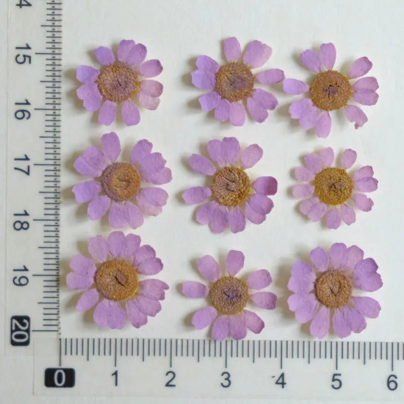 fleurs séchées multicolores bijoux résine décoration ongles maison intérieure artisanal anniversaire naturelles