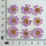 fleurs séchées multicolores bijoux résine décoration ongles maison intérieure artisanal anniversaire naturelles