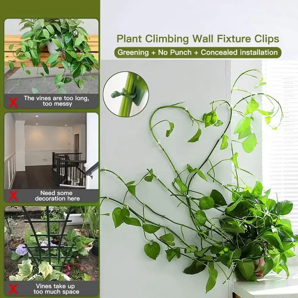fixateur mural plantes adhésif plastique vert simple moderne support plante colles