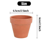 Pots terre cuite succulentes cactus drainage jardin rustique ensemble 24 pièces