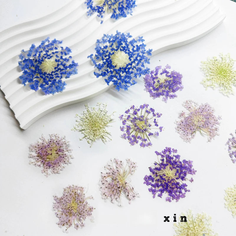 fleurs séchées violettes bleues décor maison anniversaire baby shower bricolage peinture décoration naturelle artificielle