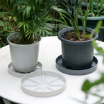 support plante moderne rayures horizontales gris foncé vert foncé blanc opacitéversible grille tailles