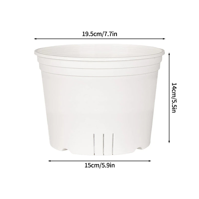 pots semis transparents blancs modernes grille drainage plantes