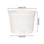 pots semis transparents blancs modernes grille drainage plantes