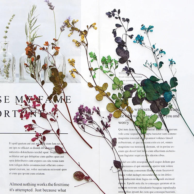 bouquet fleurs séchées multicolores feuilles fleurs petites naturelle rustique intérieur décoration maison anniversaire baby