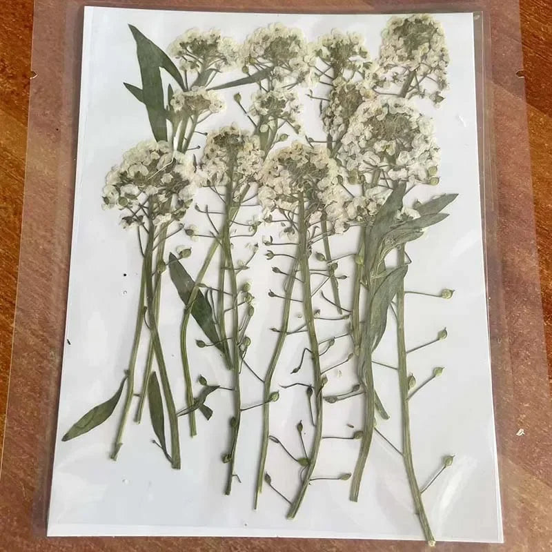 fleurs séchées bouquet violettes roses blanches naturel rustique intérieur décoration maison anniversaire valentin