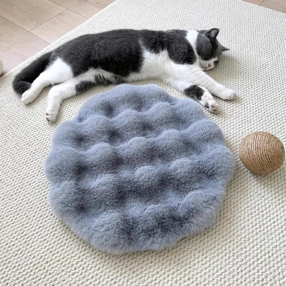 coussin doux pelucheux animaux compagnie moderne beige vertclair blanc