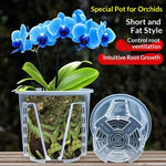 pots orchidées transparents plastique ventilation grille short fat 18cm
