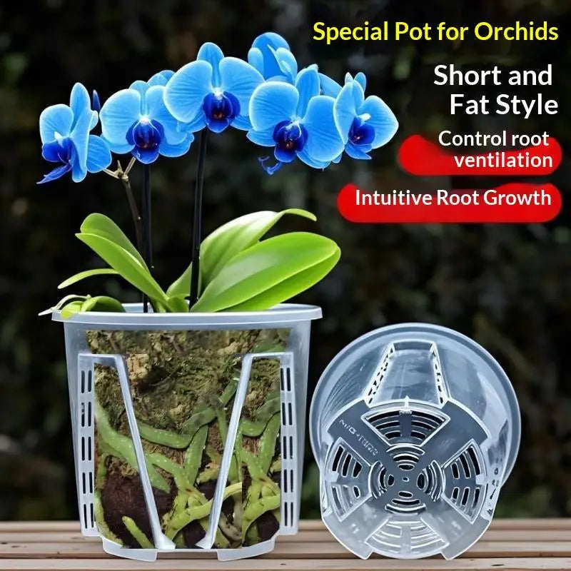pots orchidées transparents plastique ventilation grille short fat 18cm