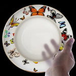 tasse assiette soucoupe motif papillons colorés os chinois élégante décoration thé blanc