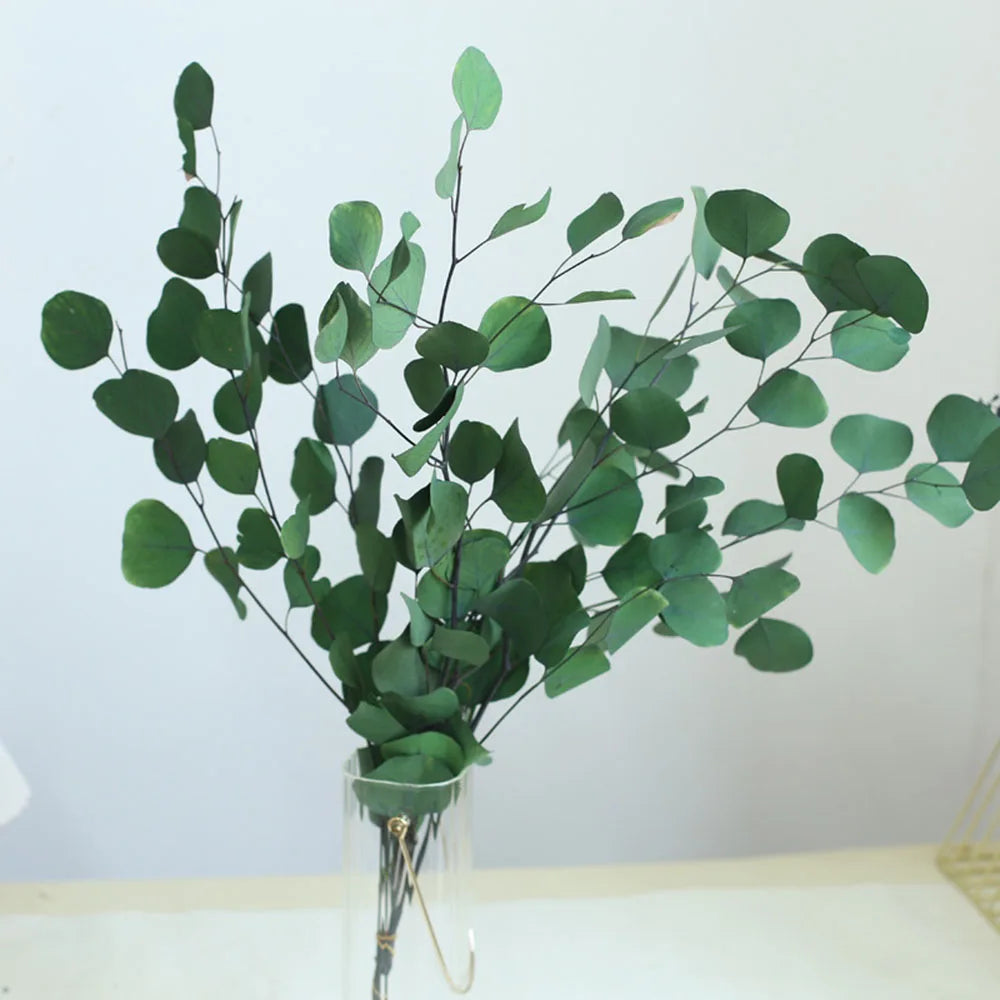 décoration intérieure feuilles eucalyptus vert naturel dried flowers wedding party