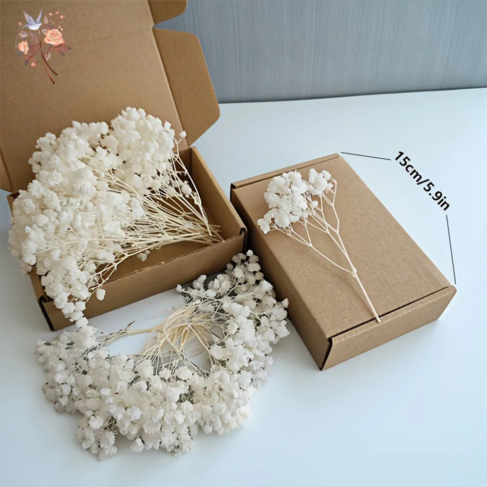 fleurs séchées blanches mini bouquet 50 pièces décoration naturelle artisanale maison mariage
