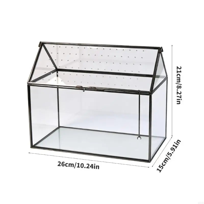 serre verre transparent moderne couvercle perforé clips air plant