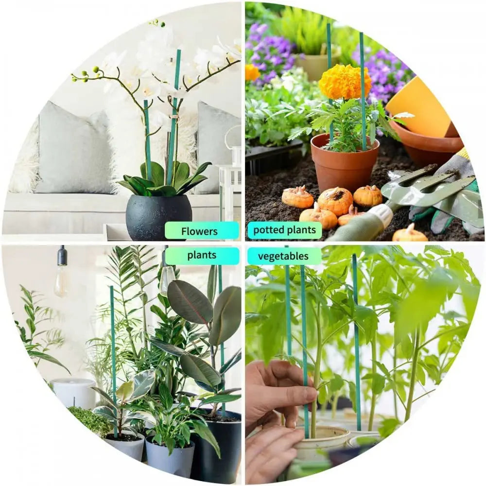 supports plante bambou vert lisse 40cm jardinage utilitaire insertion sol