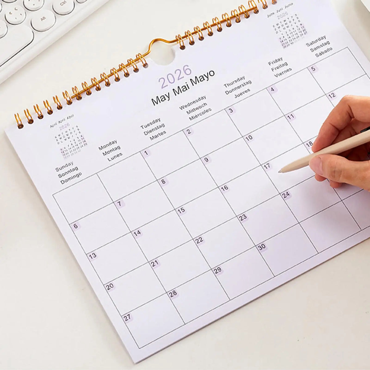 calendrier mural 2026 minimaliste blanc spirale dorée jours semaine dates mois grille planning multilingue