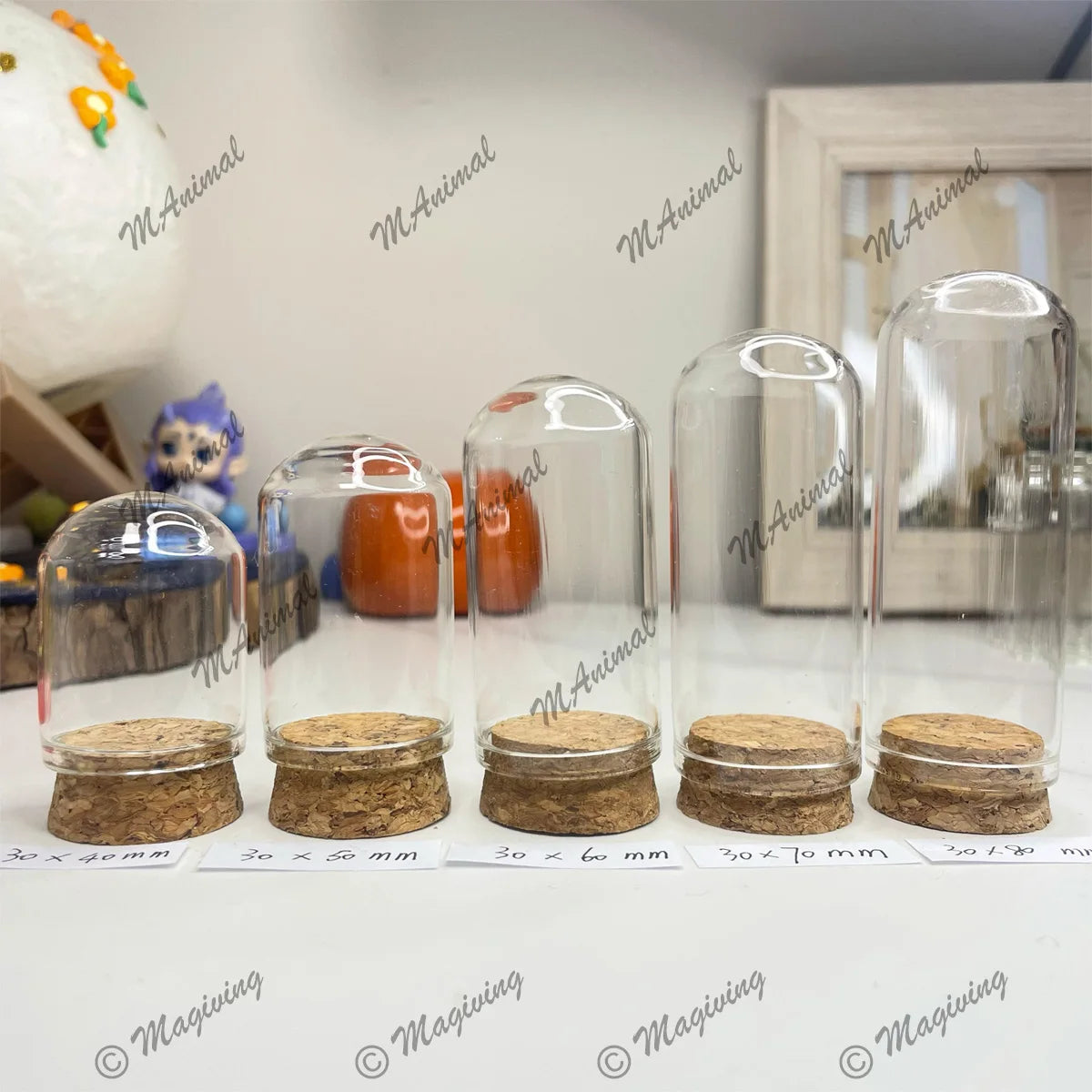 cloches verre liège transparents moderne 30x40 30x50 30x60 30x70 30x80 mm