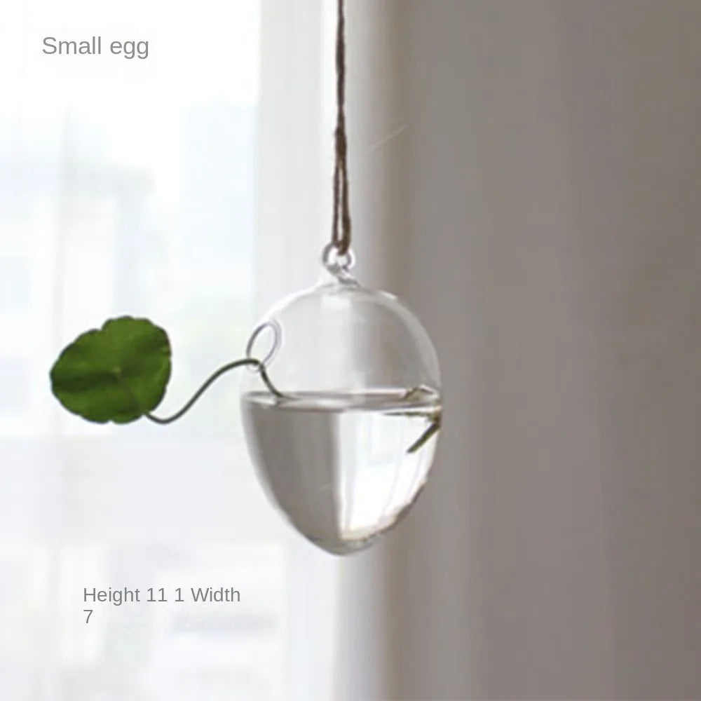 ampoules verre transparentes modernes opalescentes cordelette boutons fixation pot plantes minimaliste
