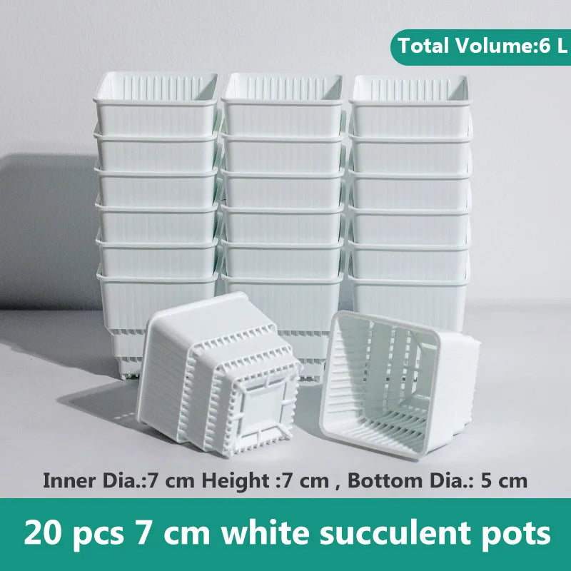 pots plantes plastique moderne blanc cactus succulents lithops drainage decoration maison