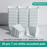 pots plantes plastique moderne blanc cactus succulents lithops drainage decoration maison