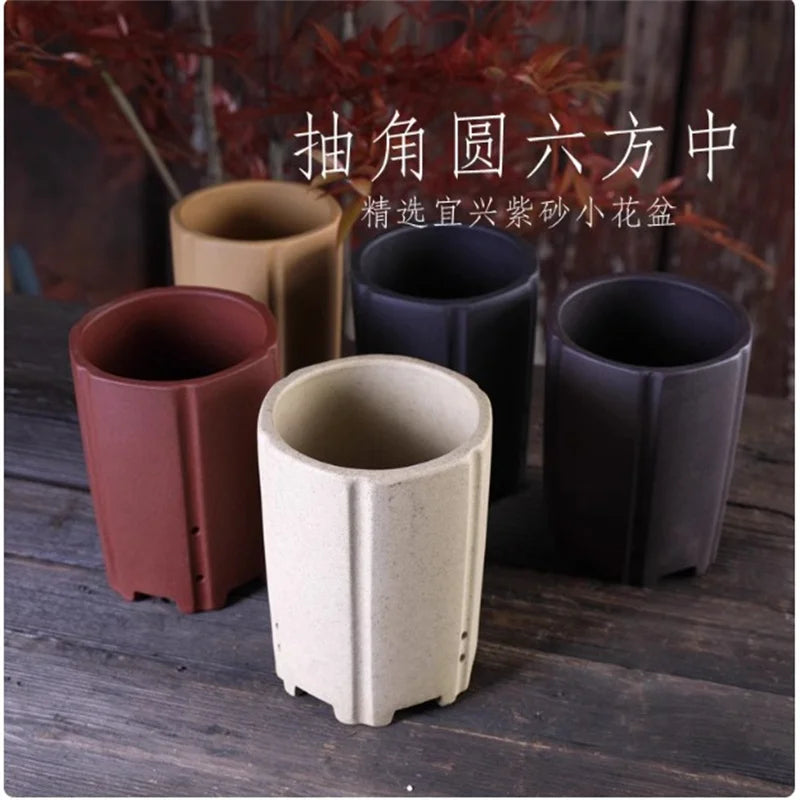 Cache pot céramique moderne rouge beige noir texture granulée fleur plante verteintérieur decoration
