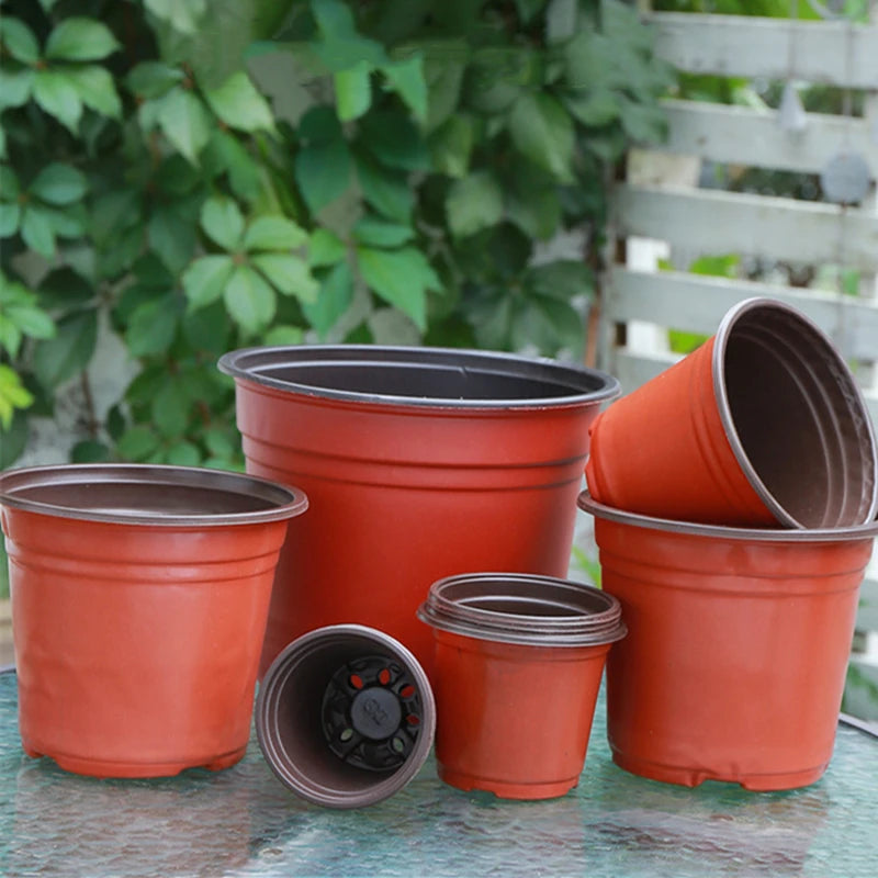 pots fleurs plastique rouge noir modernes grille drainage 9cm 10cm 11cm 12cm 13cm 14cm