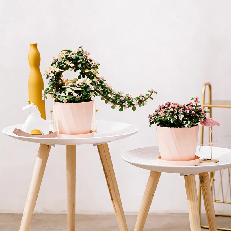 pots fleurs plastique blanc rose vert facettés moderne minimaliste support plateau