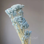 bouquet fleurs séchées naturelles rustique décoration maison mariage anniversaire petit volume décoratif
