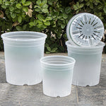 pots semis transparents blancs modernes grille drainage plantes