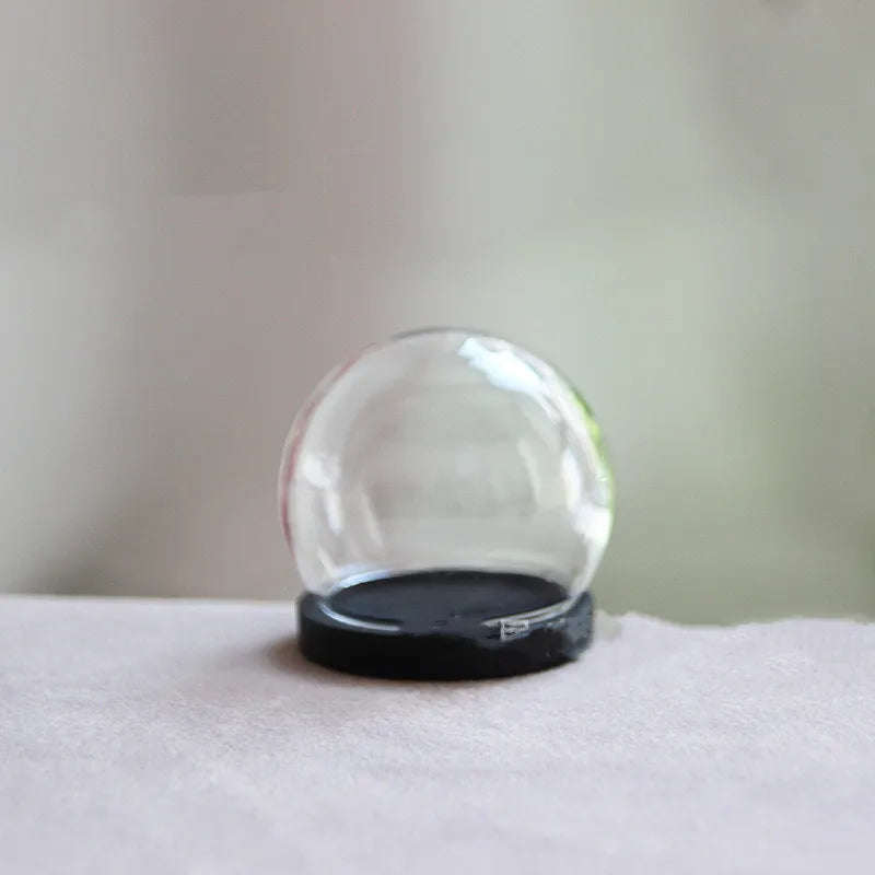 vase boule verre transparent base bois couvercle fleurs séchées