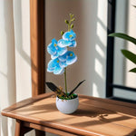 Décoration intérieure orchidée artificielle pot blanc violette bleue blanche minimaliste moderne