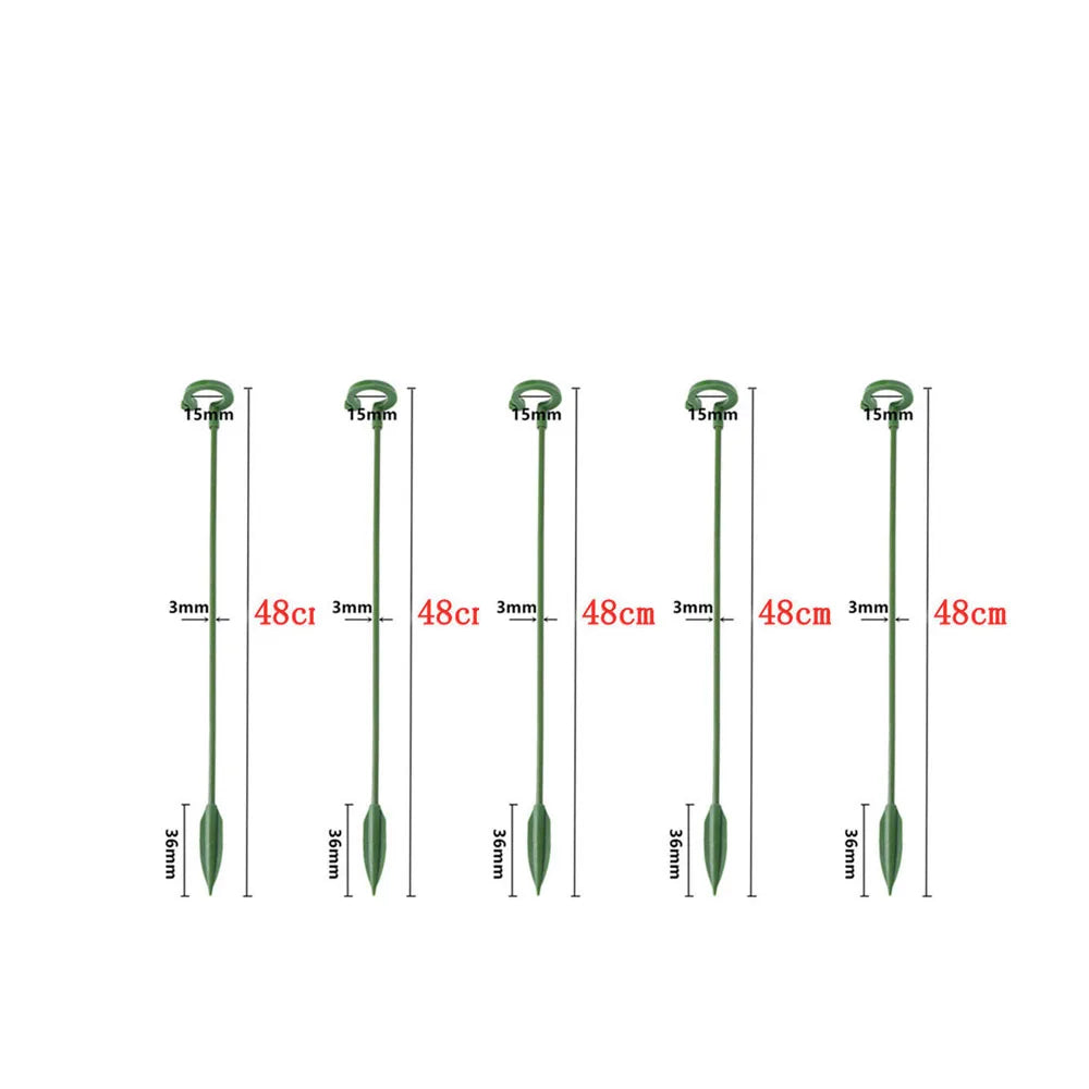support plantes vert osier robuste 17cm 27cm 37cm 48cm 58cm escalade fleur vigne jardinage