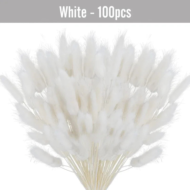 plumes séchées naturelles queue lapin décoration maison fêtes anniversaires mariage bohème rustic beige clair
