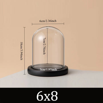 cloche verre transparent base bois moderne décoration intérieure souvenir curio affichage rangement dôme verre