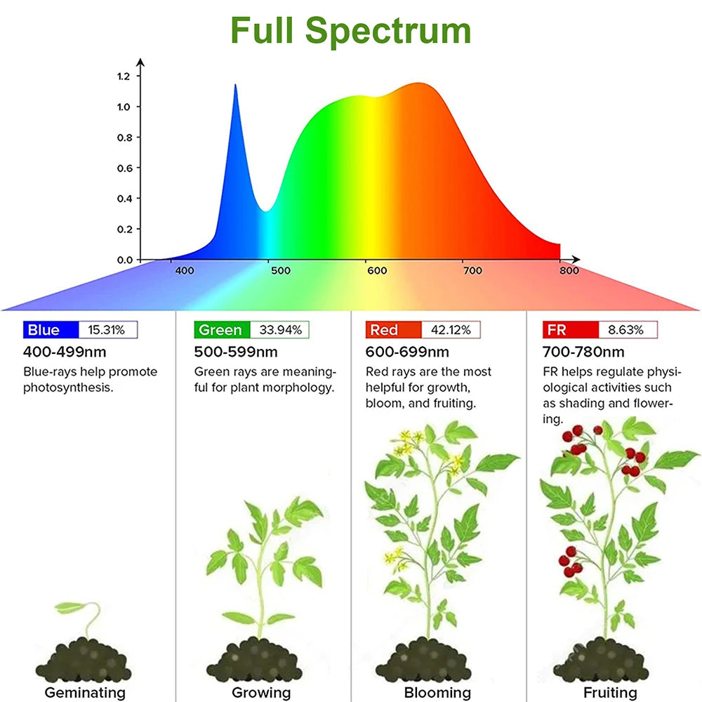 éclairage led plante 3000k têtes 30 50cm blanc vis contrôleur distant
