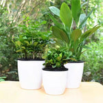 pots fleurs modernes blancs noirs doubles couches absorption eau grandes plantes bonsaï
